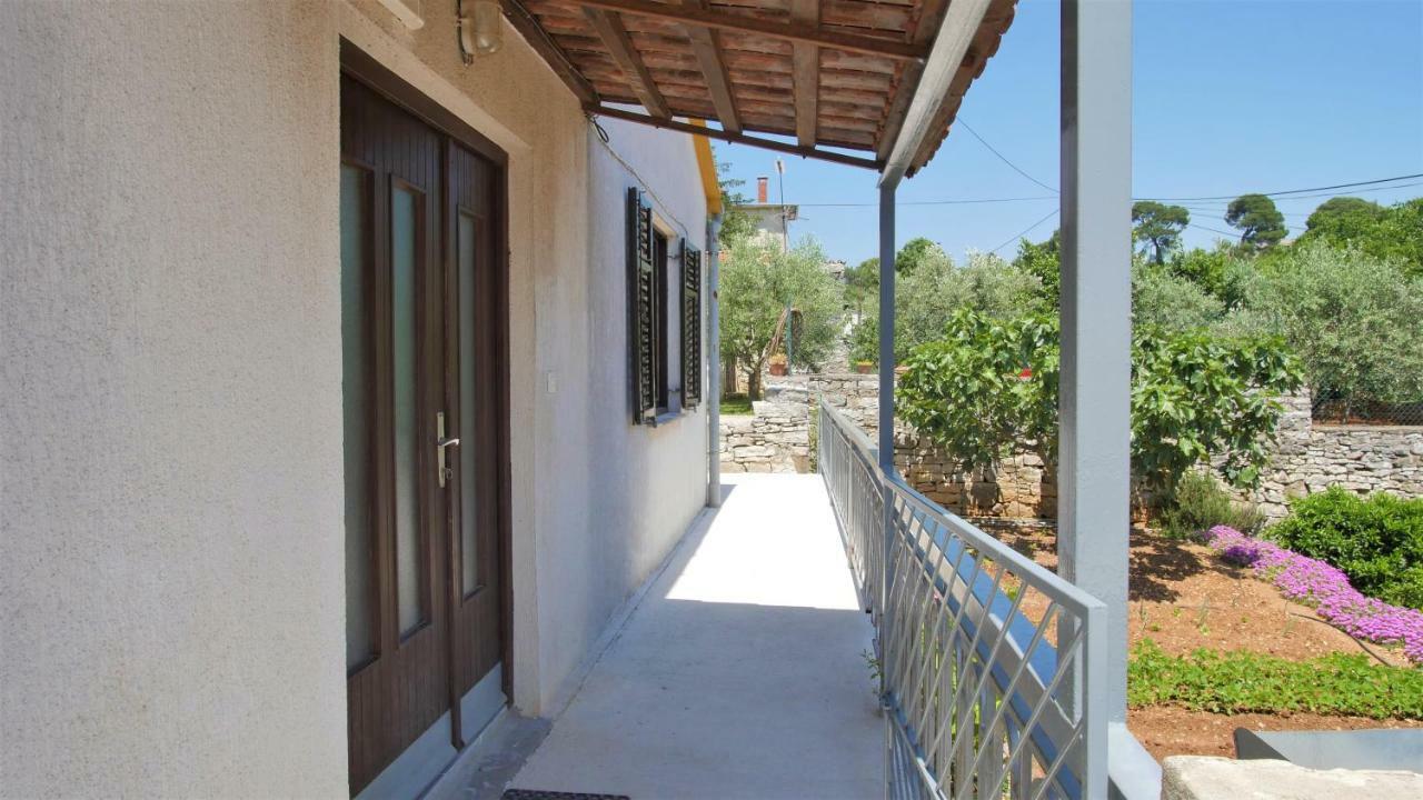 Apartma Dollar *